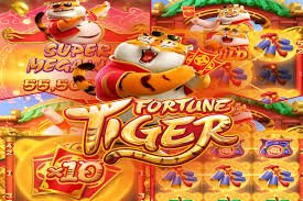 ek2117 Live Cricket Betting